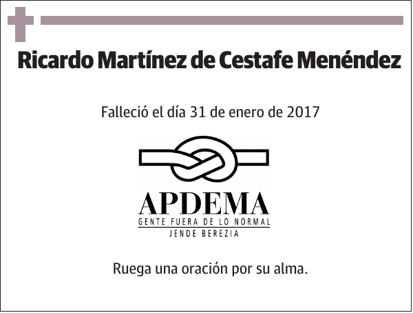 Ricardo Martínez de Cestafe Menéndez