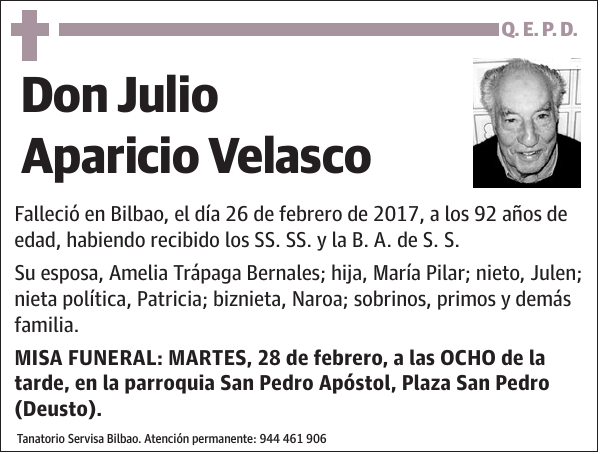 Julio Aparicio Velasco