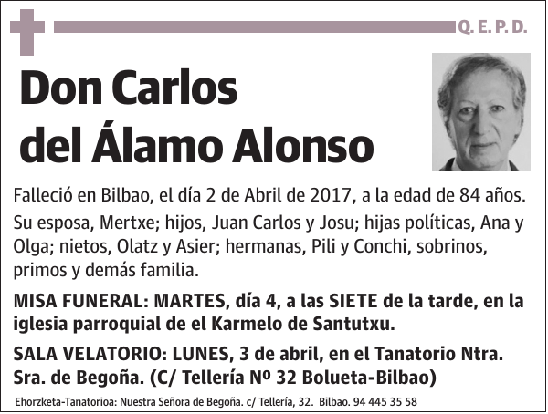 Carlos del Álamo Alonso