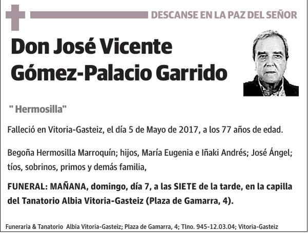 José Vicente Gómez-Palacio Garrido