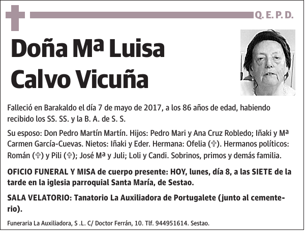 Mª Luisa Calvo Vicuña