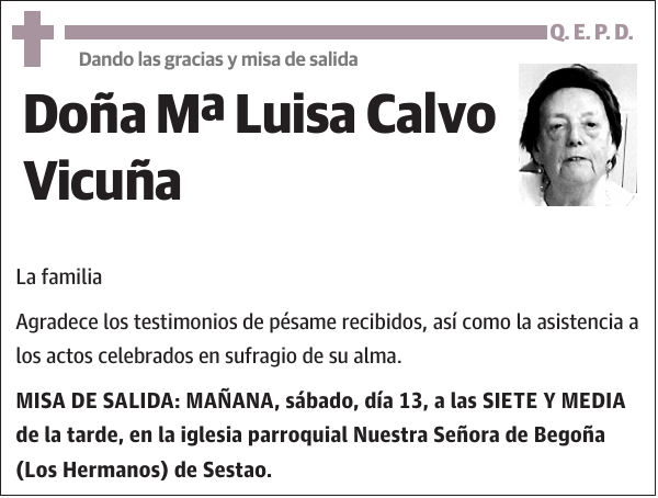 Mª Luisa Calvo Vicuña