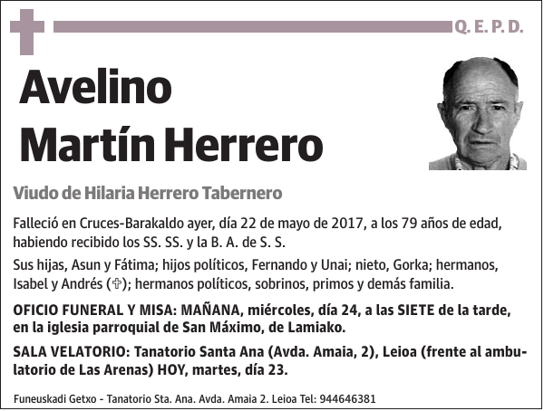 Avelino Martín Herrero