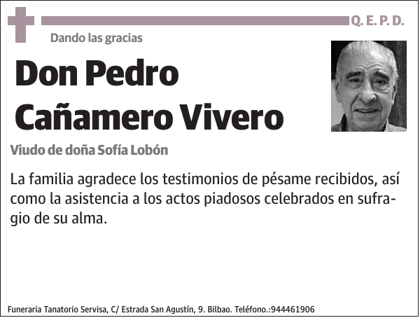 Pedro Cañamero Vivero