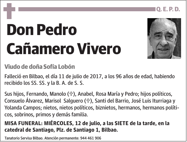 Pedro Cañamero Vivero