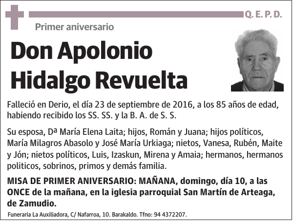 Apolonio Hidalgo Revuelta