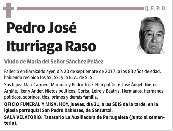 Pedro José Iturriaga Raso