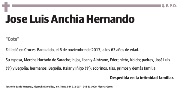 Jose Luis Anchia Hernando