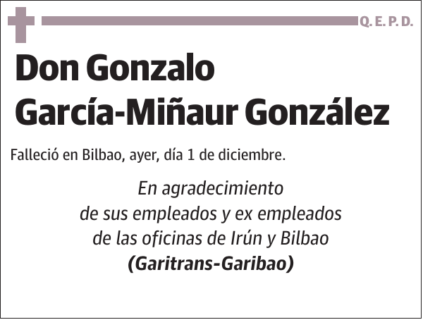 Gonzalo García-Miñaur González