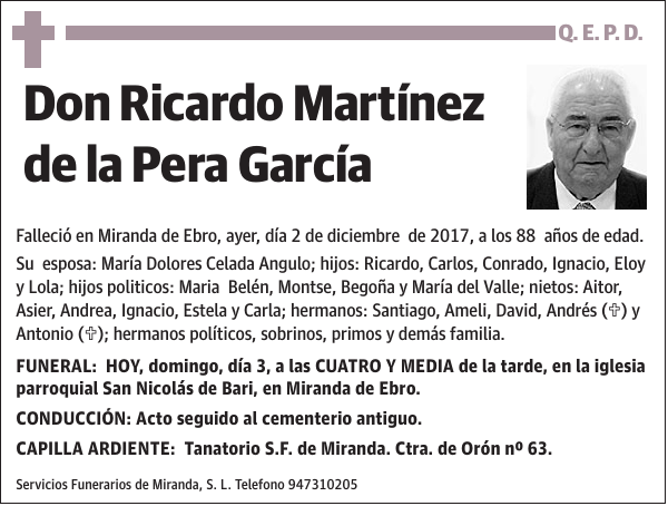 Ricardo Martínez de la Pera García