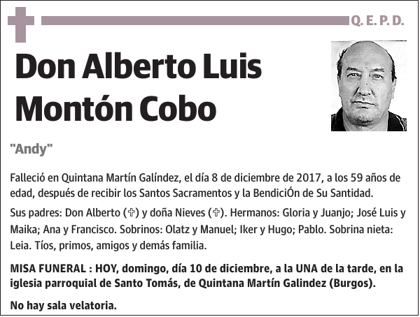 Alberto Luis Montón Cobo