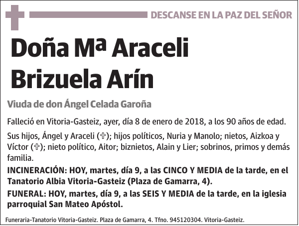 Mª Araceli Brizuela Arín