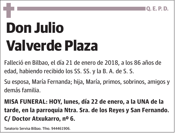 Julio Valverde Plaza