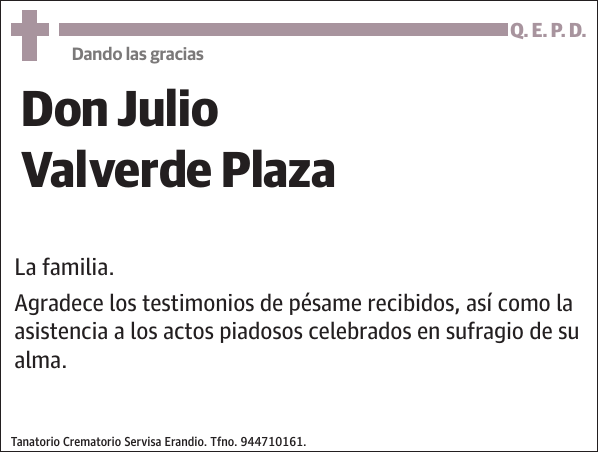 Julio Valverde Plaza