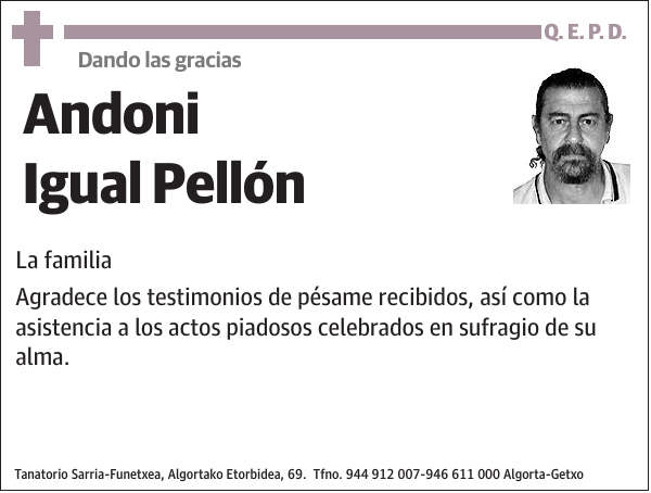 Andoni Igual Pellón