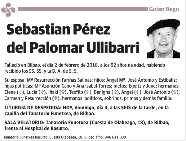 Sebastian Pérez del Palomar Ullibarri