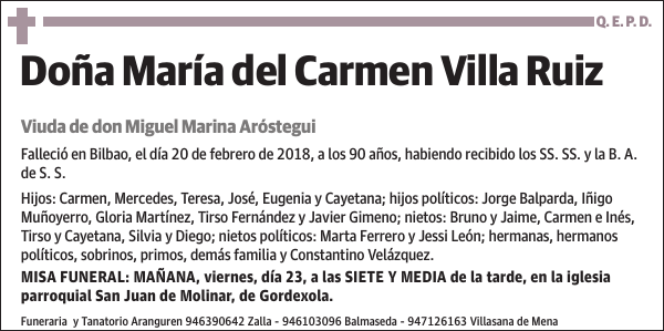 María del Carmen Villa Ruiz