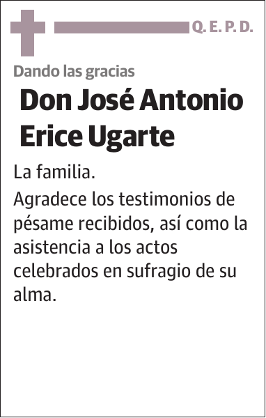 José Antonio Erice Ugarte