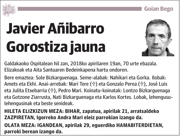 Javier Añibarro Gorostiza