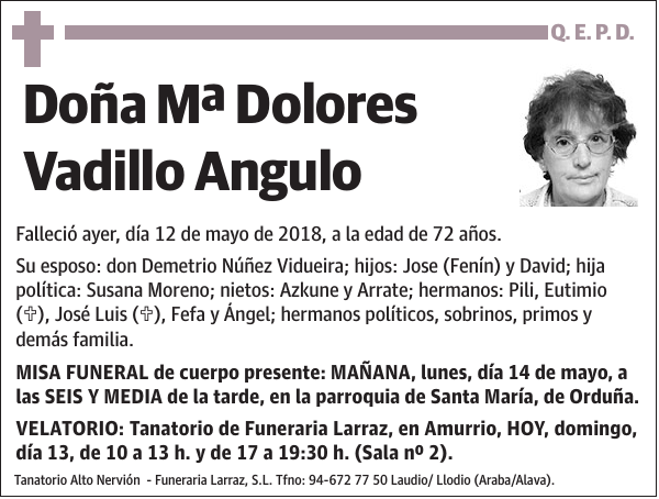 Mª Dolores Vadillo Angulo