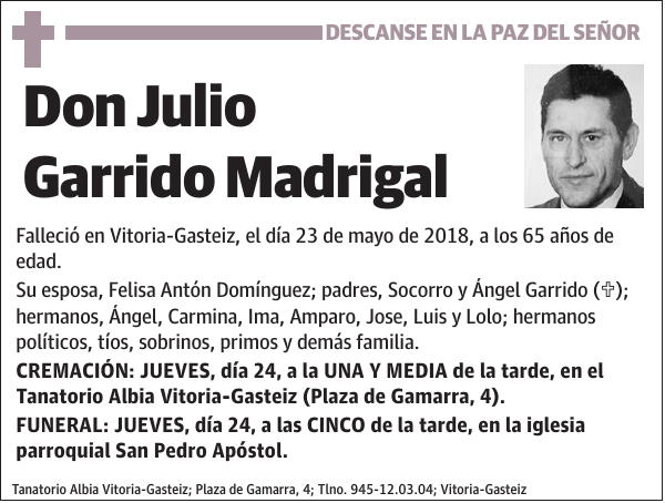 Julio Garrido Madrigal