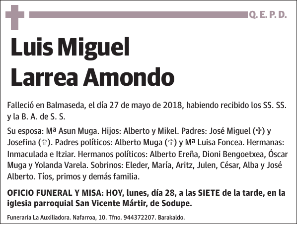 Luis Miguel Larrea Amondo