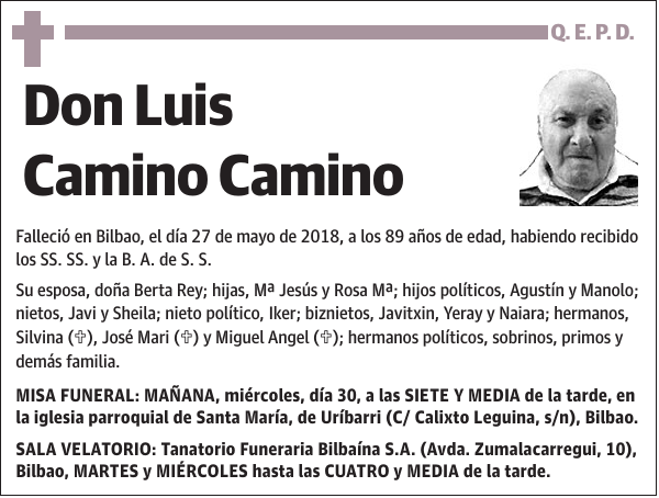 Luis Camino Camino