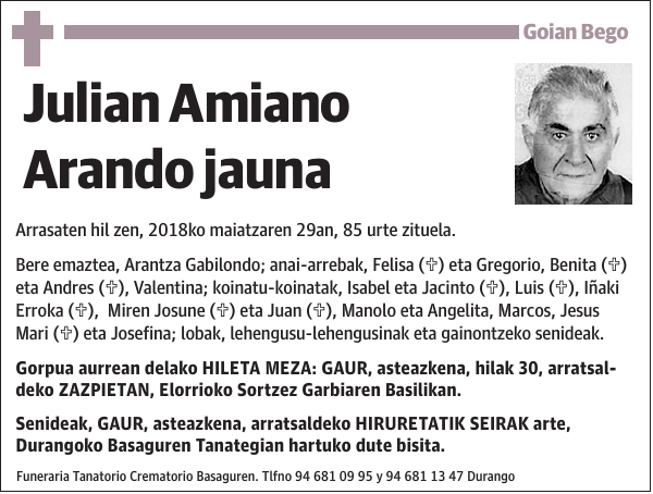 Julian Amiano Arando