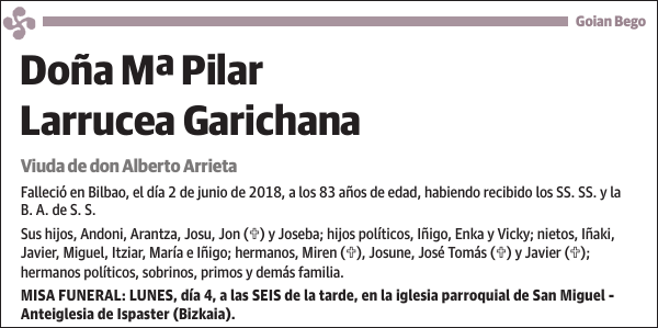 Mª Pilar Larrucea Garichana