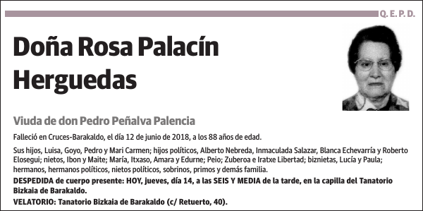 Rosa Palacín Herguedas