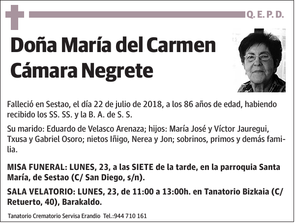 María del Carmen Cámara Negrete