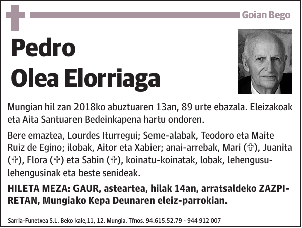 Pedro Olea Elorriaga