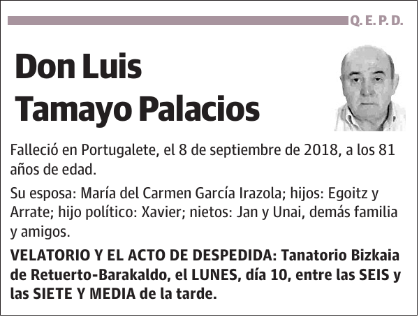 Luis Tamayo Palacios