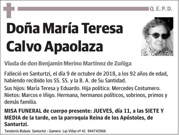 María Teresa Calvo Apaolaza