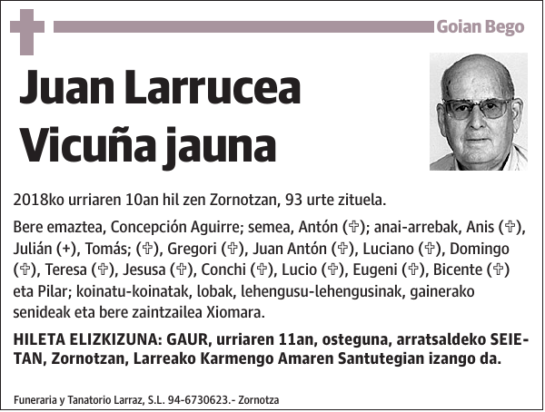 Juan Larrucea Vicuña