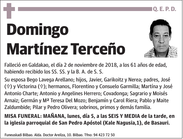 Domingo Martínez Terceño