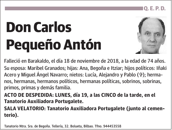 Carlos Pequeño Antón