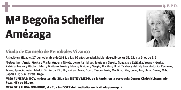 Mª Begoña Scheifler Amézaga