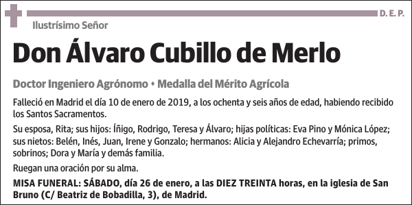 Álvaro Cubillo de Merlo