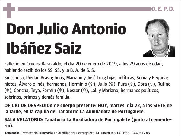 Julio Antonio Ibáñez Saiz