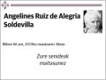 Angelines Ruiz de Alegria Soldevilla Bilbon