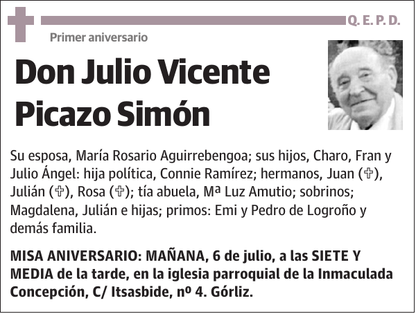 Julio Vicente Picazo Simón