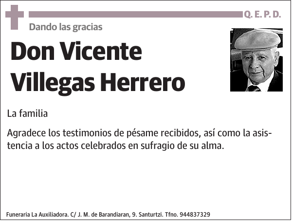 Vicente Villegas Herrero