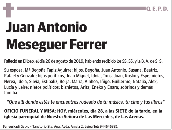 Juan Antonio Meseguer Ferrer