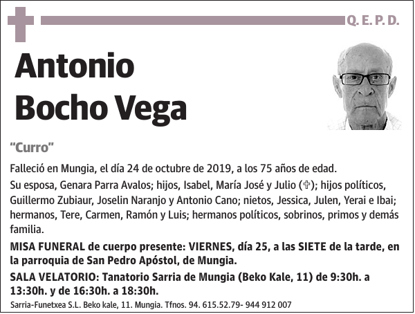 Antonio Bocho Vega