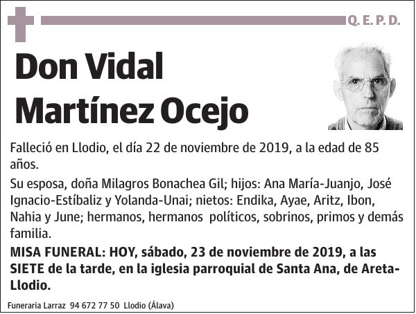 Vidal Martínez Ocejo