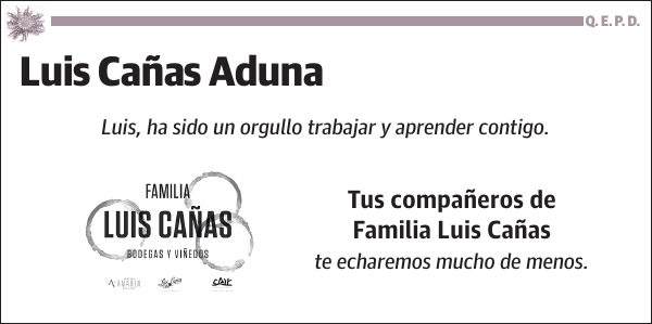 Luis Cañas Aduna