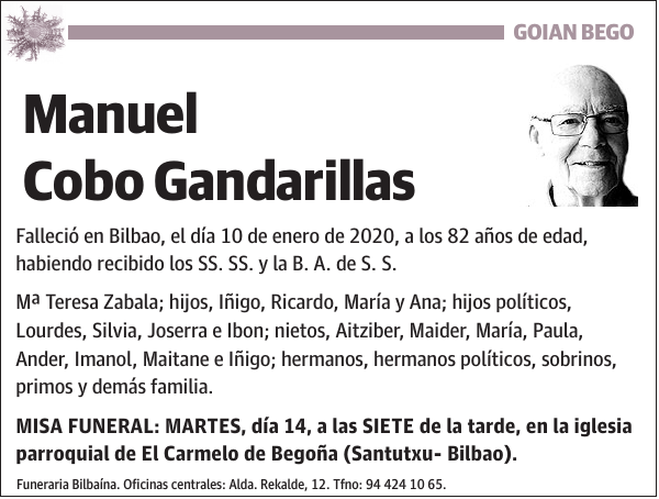 Manuel Cobo Gandarillas