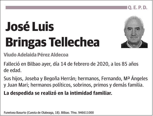 José Luis Bringas Tellechea