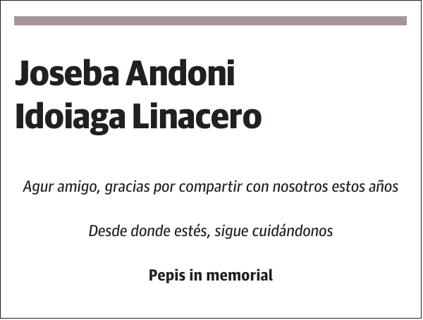 Joseba Andoni Idoiaga Linacero